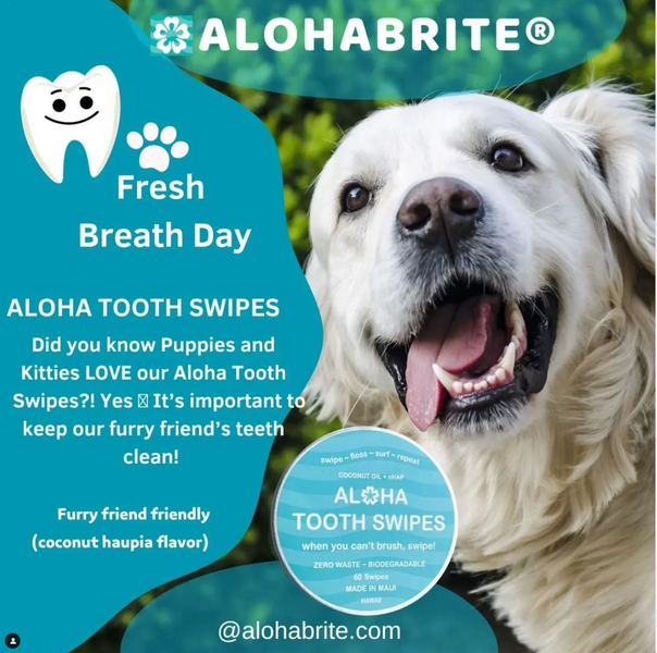 Did you know Puppies and Kitties LOVE our Aloha Tooth Swipes?! Yes 🙌 It’s important to keep our furry friend’s teeth clean!