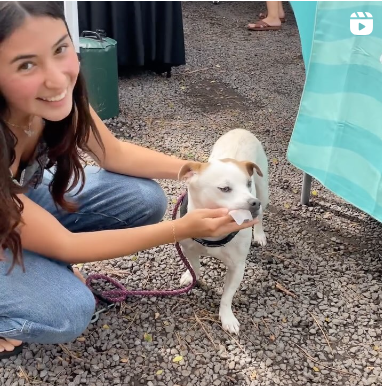 March 10, 2024 ~ Zoey loves our Aloha Tooth Swipes! Stop by the the Paia Pop Up Market we’re here today from 10am-4pm